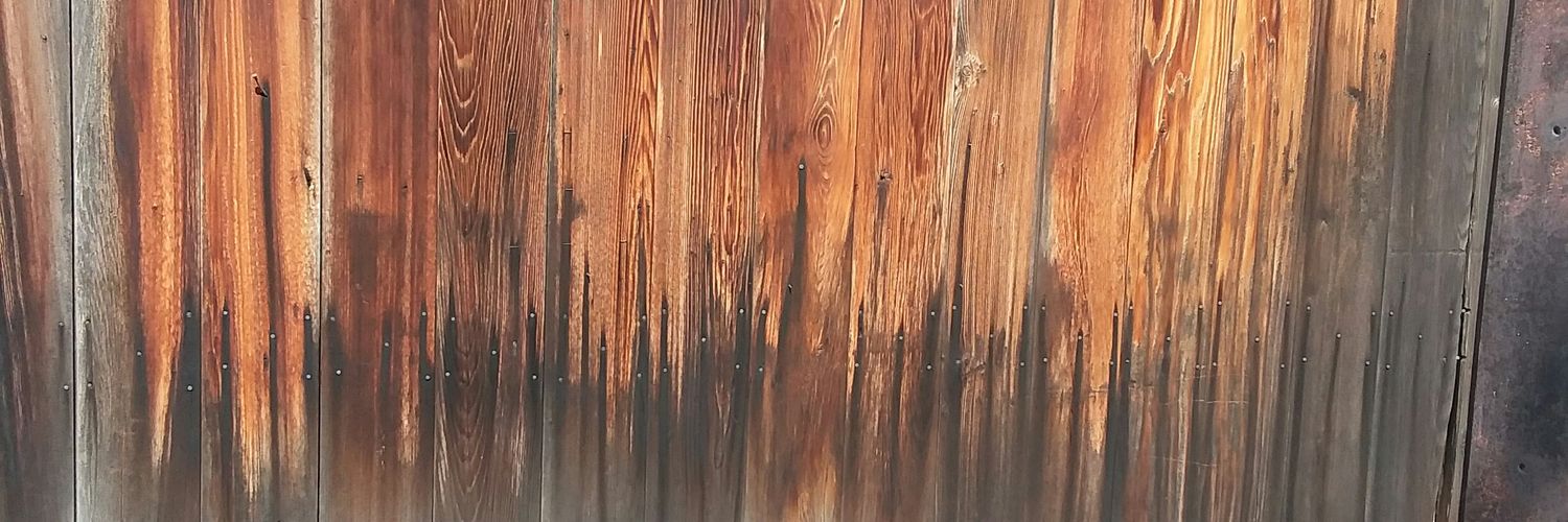TheOnlyNormal1's profile banner image