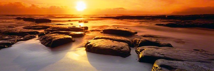 rhollman's profile banner image