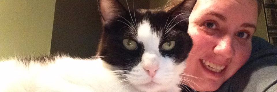 Katie Maybaum banner