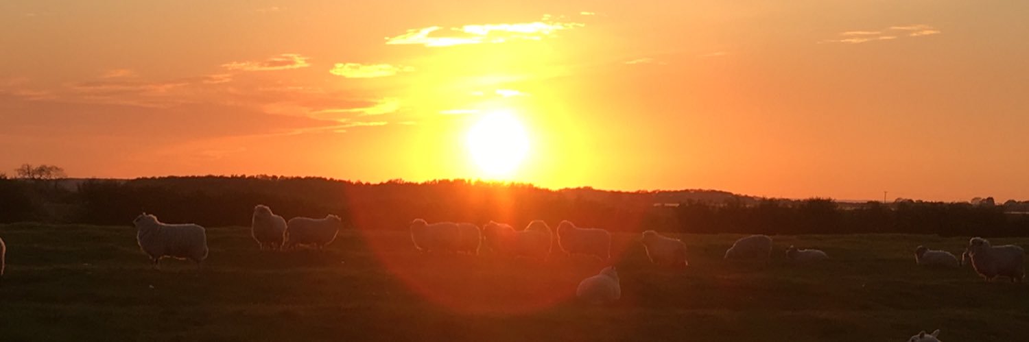Gourmet Goatling & Lambwath View Flock banner