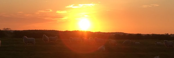 GGoatling Profile Banner