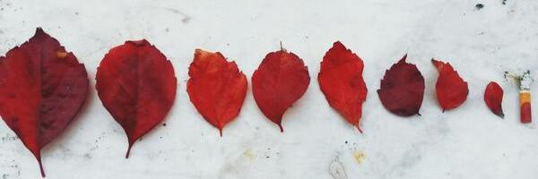 cagladiyaroglu's profile banner image