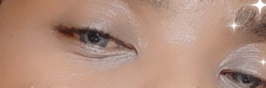 Z I E R banner