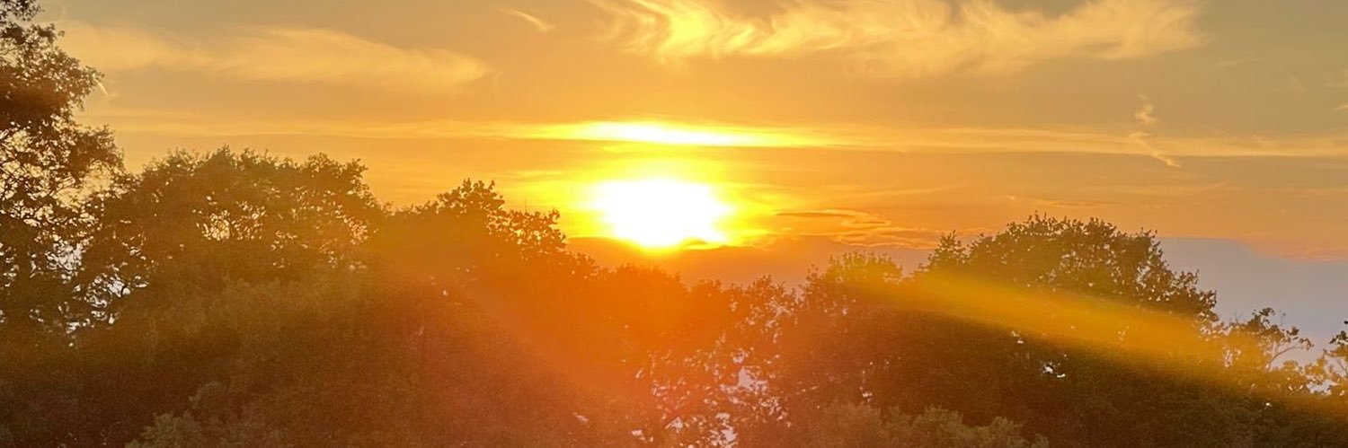 Multilingual Learning banner