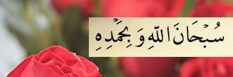 zainabalsaggaf's profile banner image
