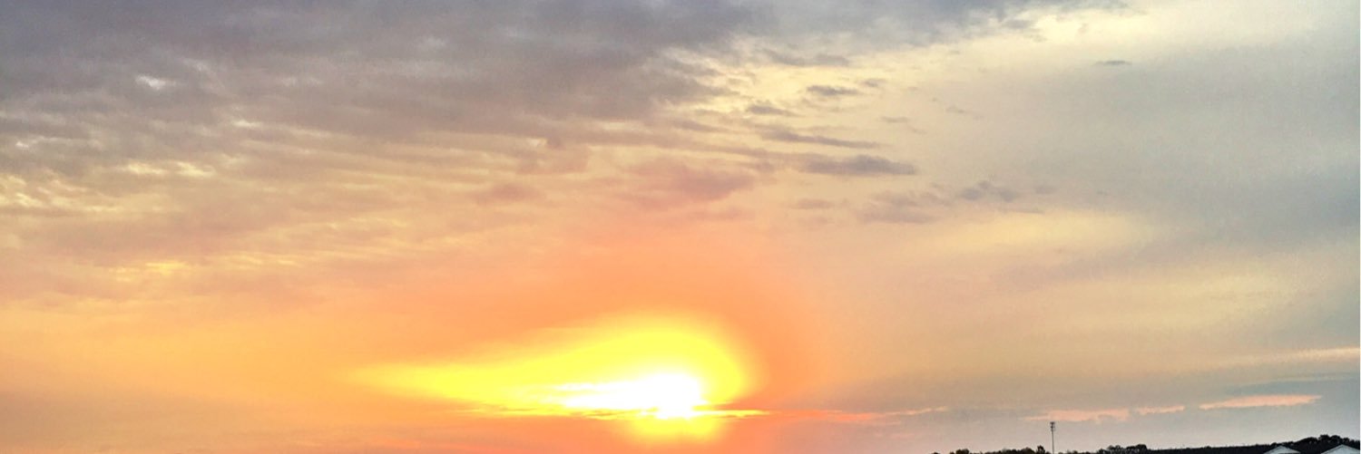 K Patrick banner