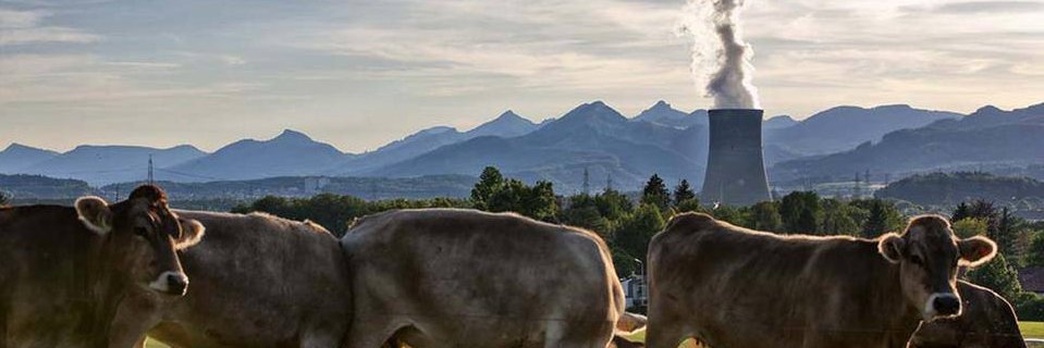 Boris Hombourger banner