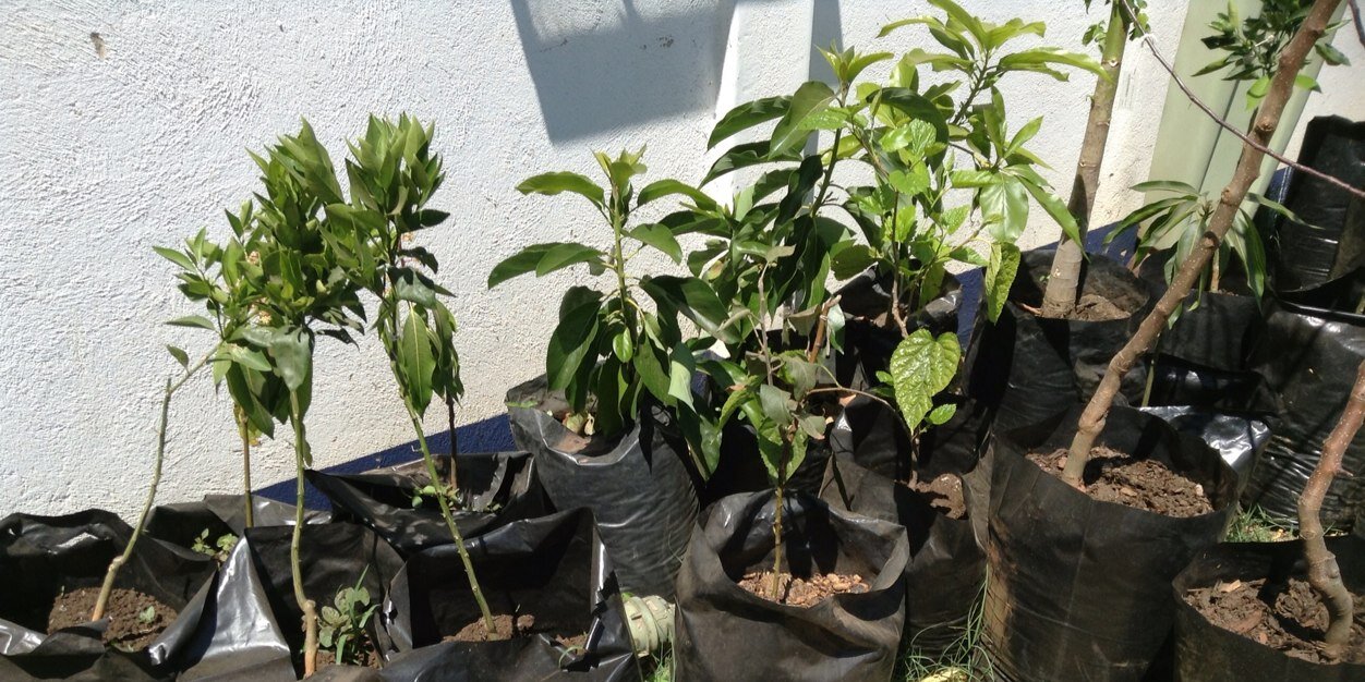 Mt Pleasant Hardware banner