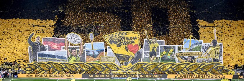 Bergi ⚫️🟡 banner