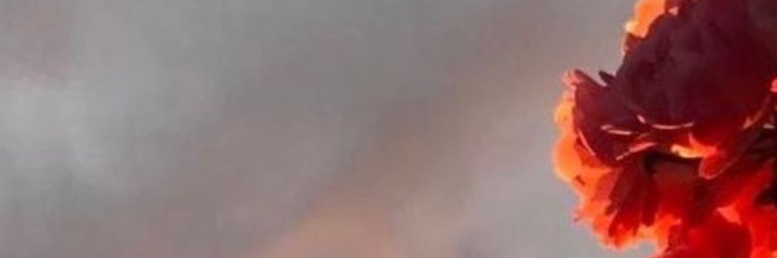 MARÍA LUISA 🫀 banner