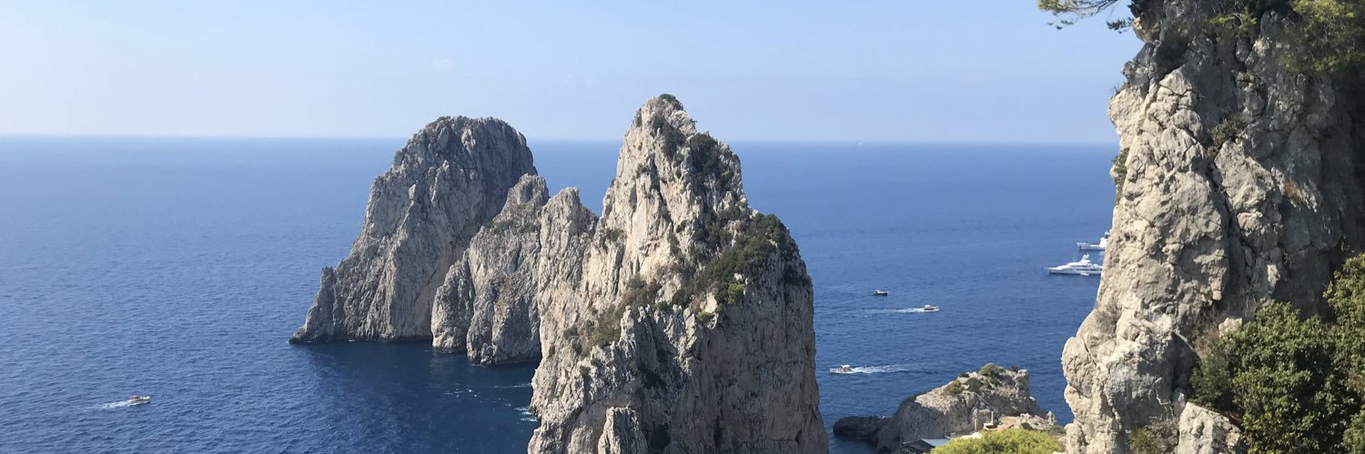 Louis Anthony banner