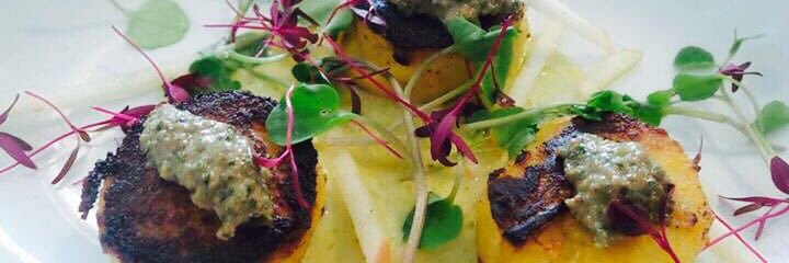 Educated Flea banner