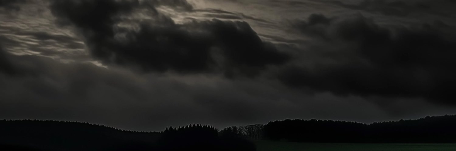 tgwaste 🇺🇸 banner