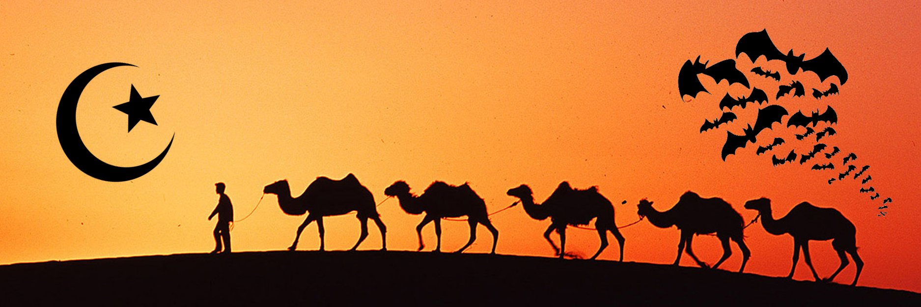 L'estol dels renascuts banner