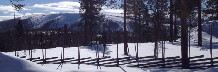 IFahlberg's profile banner image