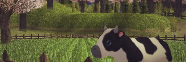 xobnn's profile banner image