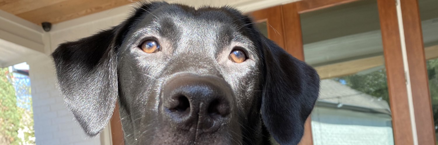 LillyVernor's profile banner image