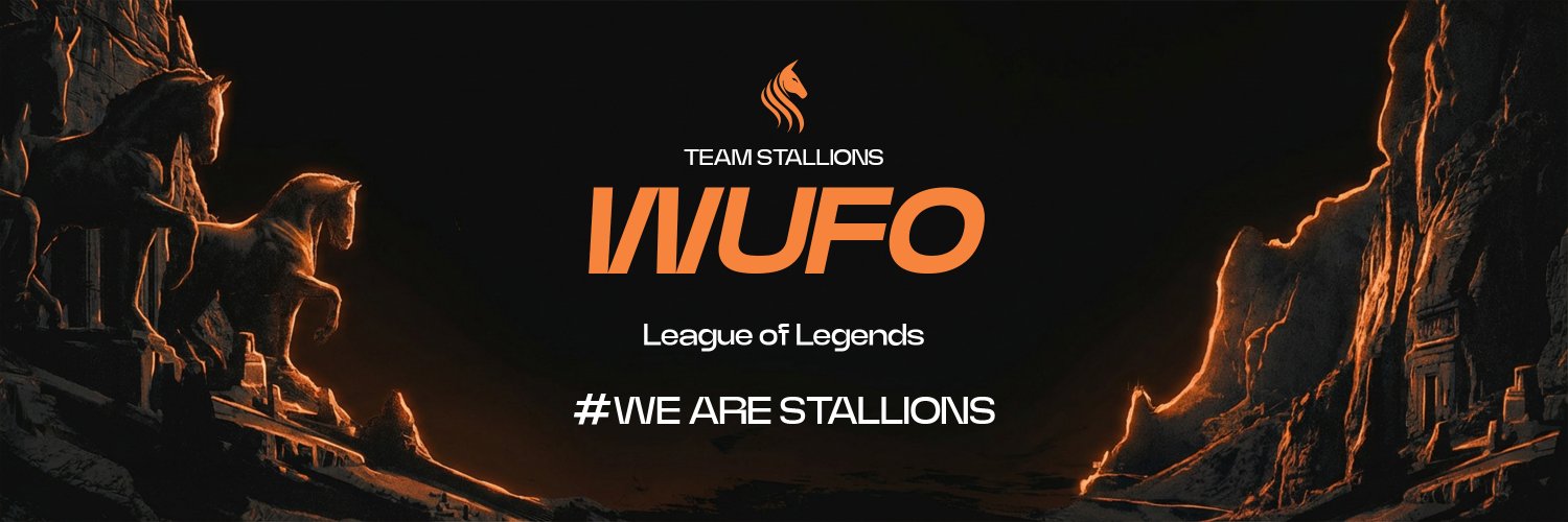 STS Wufo banner