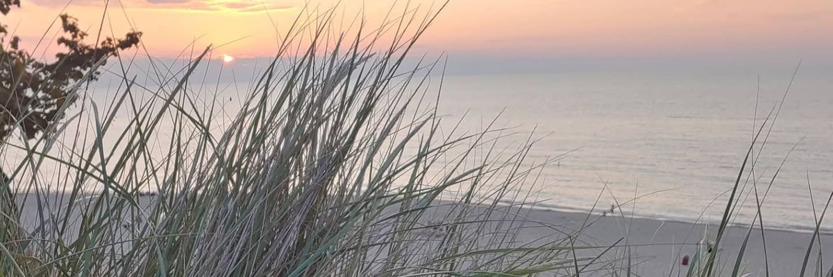 CoachMetea's profile banner image