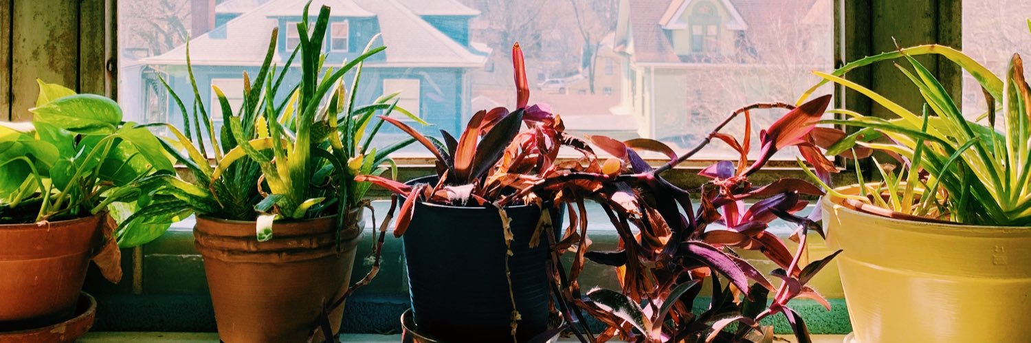 ninasssmc's profile banner image