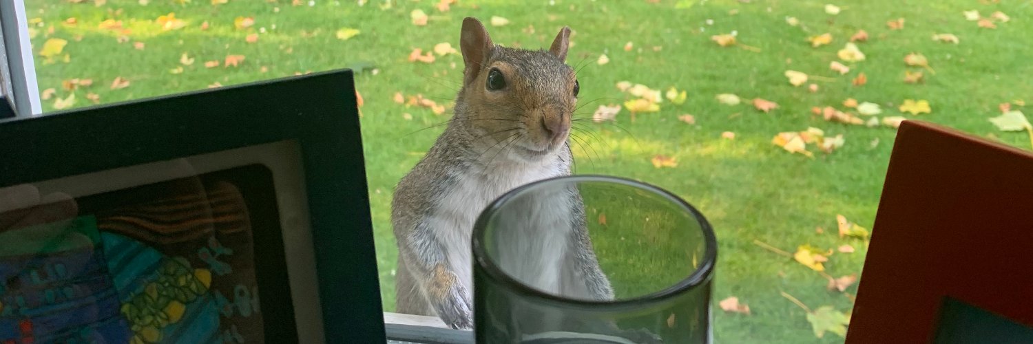 Stephen Newton banner