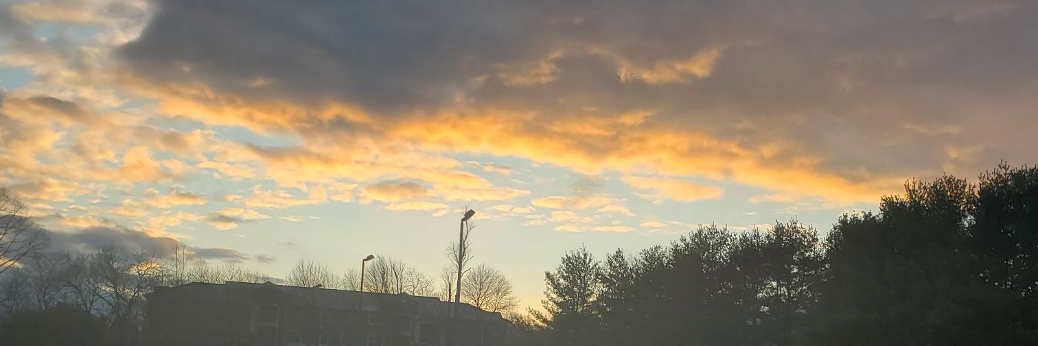 just whit 💛 banner