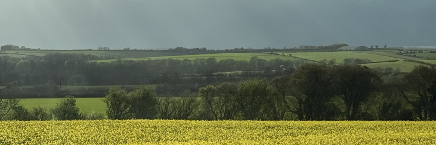 melpickford's profile banner image