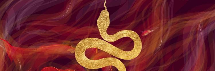Ella Ringrose banner