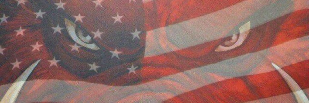 hognationnet's profile banner image