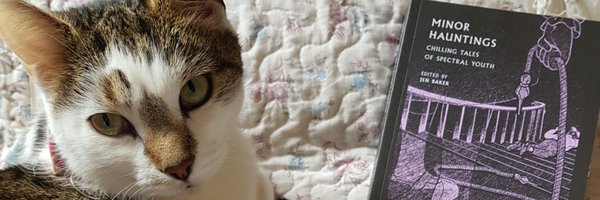 Jendeavour Profile Banner