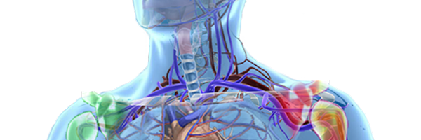 MesenFlow Profile Banner