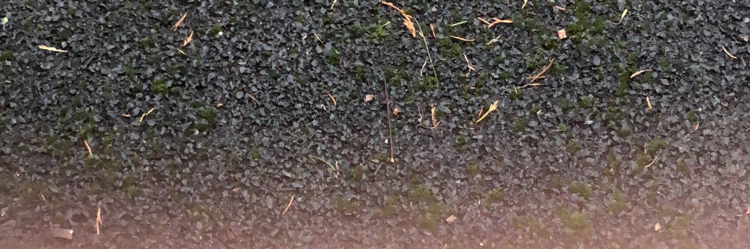 BIG DICK Bulges banner