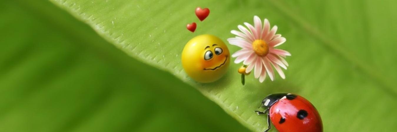 Rangu_sha's profile banner image