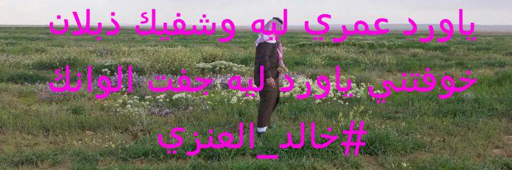alsakir2013's profile banner image