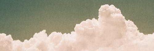 Owen Beckman banner