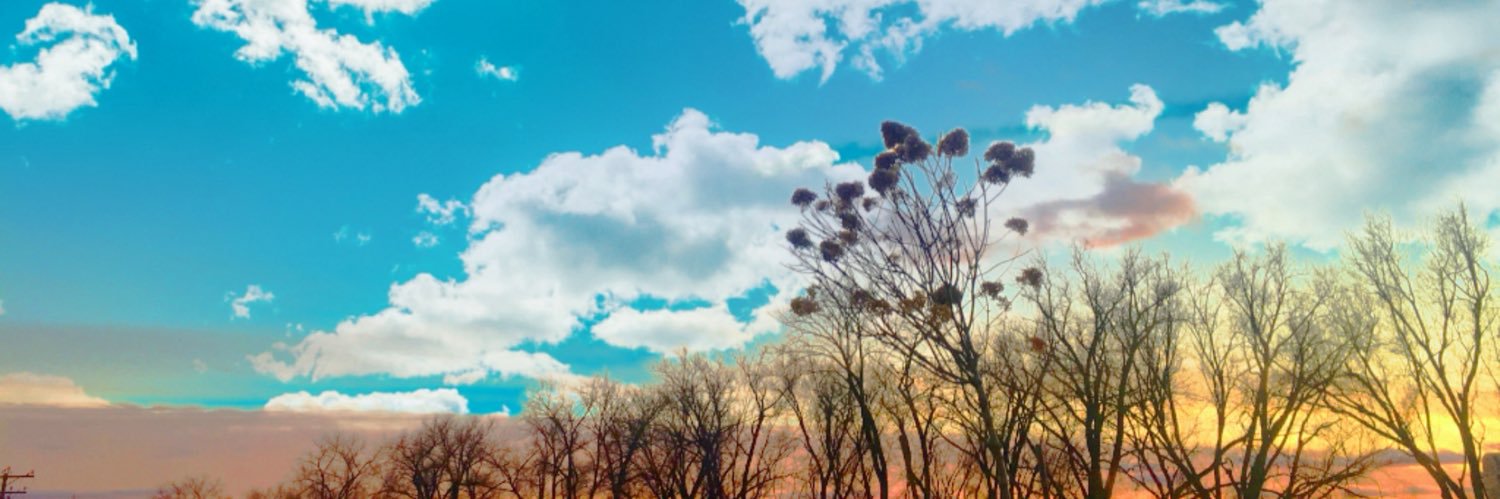 erinnmoriarty's profile banner image