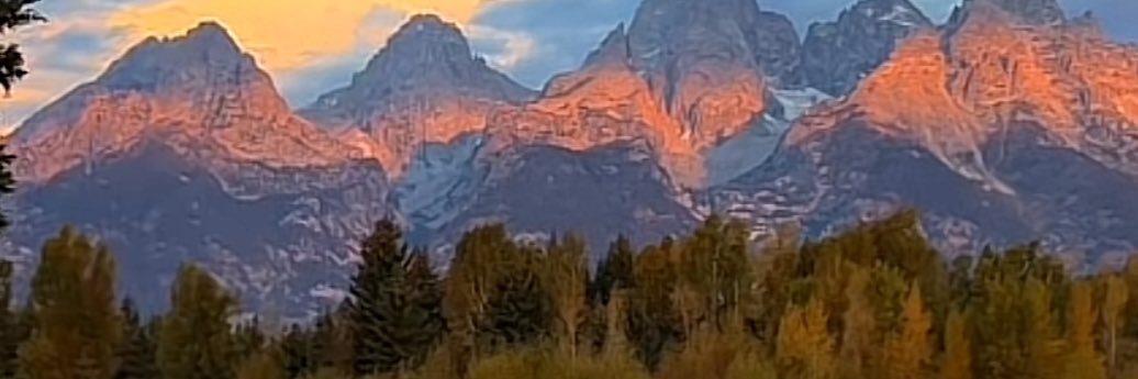 mabirdsall's profile banner image
