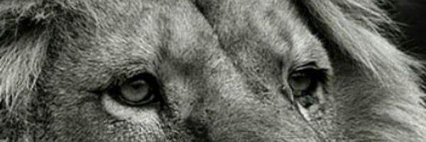 JammieBryan's profile banner image