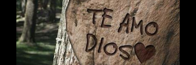 Eli ♥️ banner