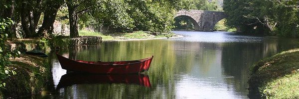GracaVilaca Profile Banner