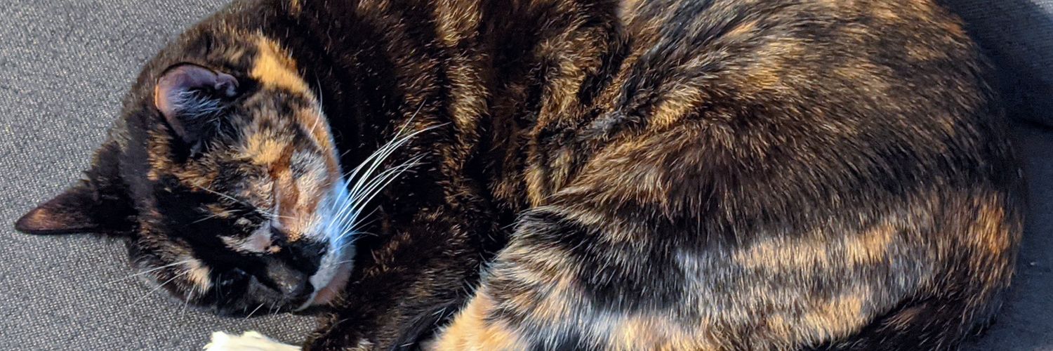 EatYourFatFace's profile banner image