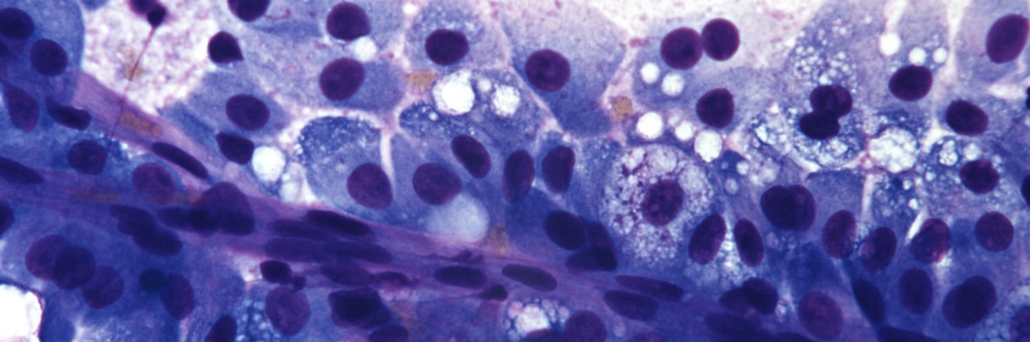 Steven Long, MD banner