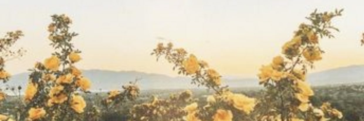 tarayerigan_'s profile banner image