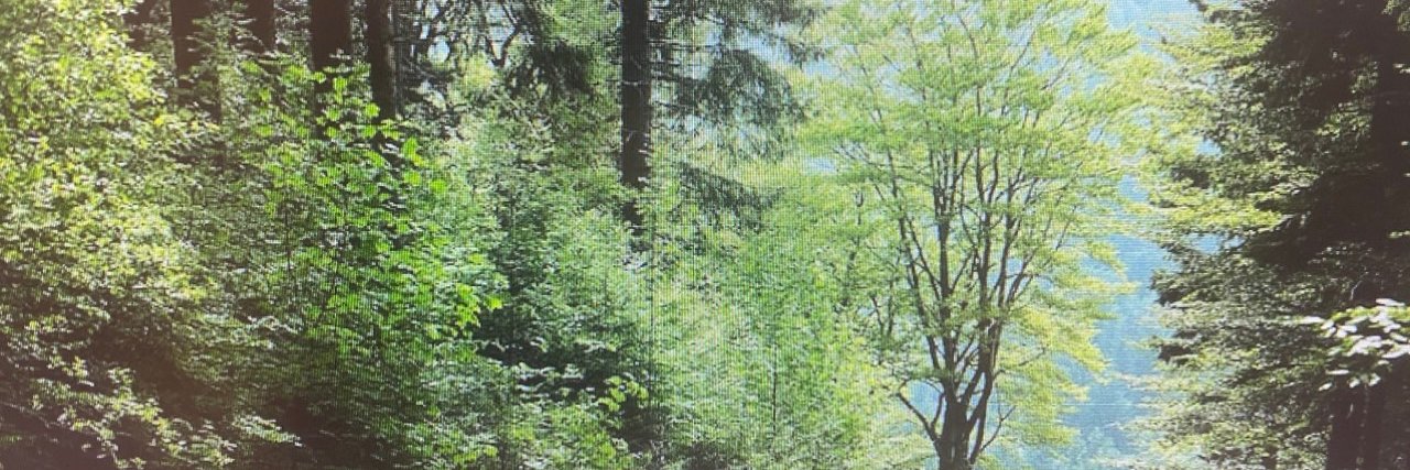Myat banner