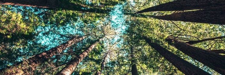 Usep Rohman (@uce33) / Posts / X