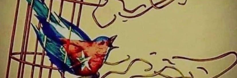 Vanessa Solon 🆘🇨🇺 banner