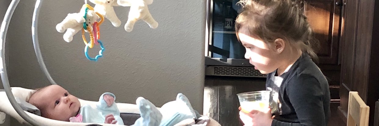 Steven Pounds banner