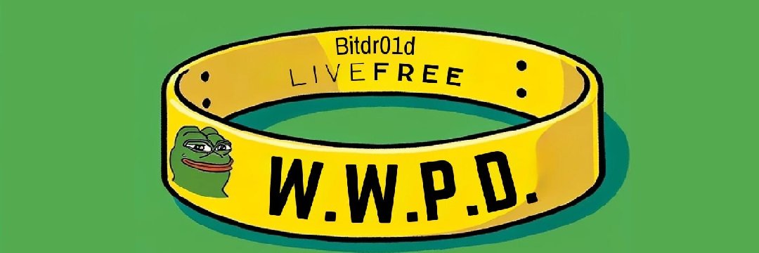b1tdr01d banner