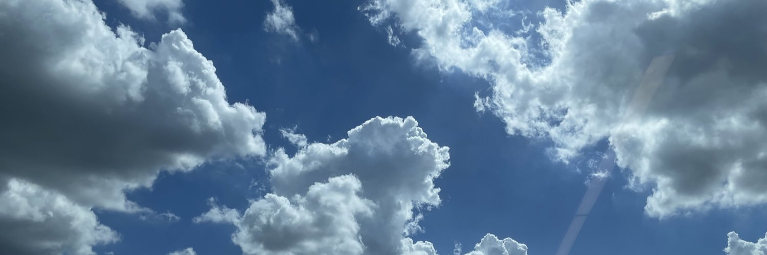 ShawFei🇺🇦 banner