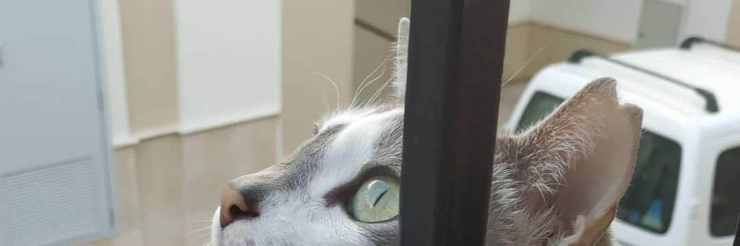 irene_97b's profile banner image